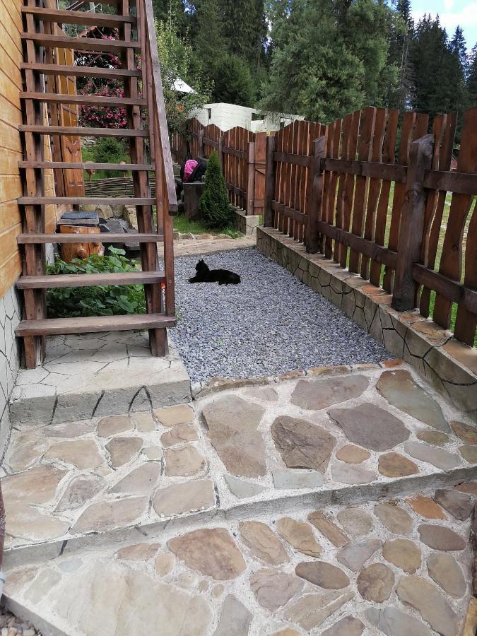 Котедж Віадук Worochta Exterior foto