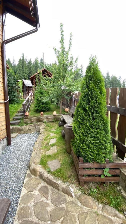 Котедж Віадук Worochta Exterior foto