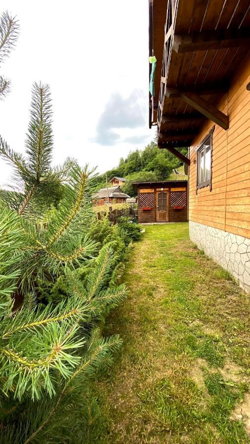 Котедж Віадук Worochta Exterior foto